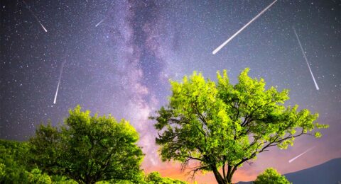 A,View,Of,A,Meteor,Shower,And,The,Milky,Way.