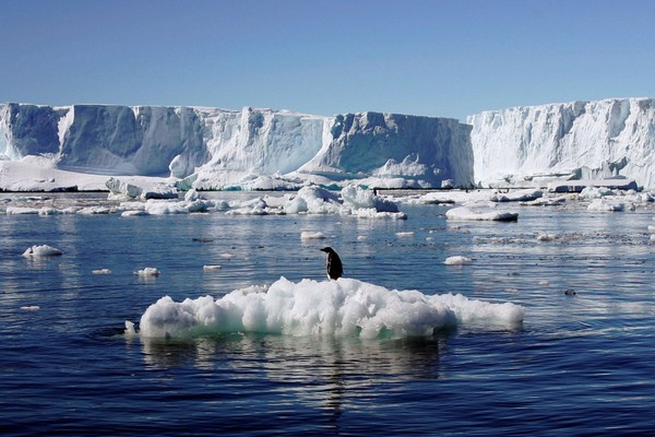 ứng dụng google earth engine với hoạt động băng trên biển