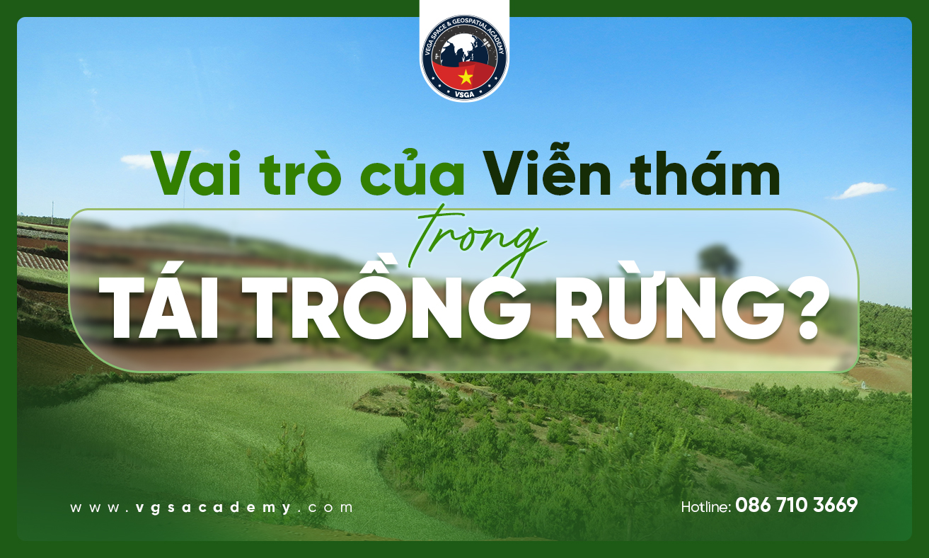 Vai tro cua Vien tham trong tai trong rung