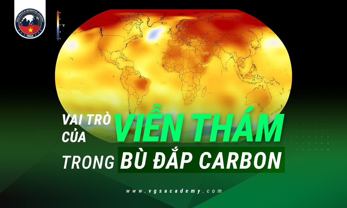 240704 Vai tro cua vien tham trong bu dap carbon