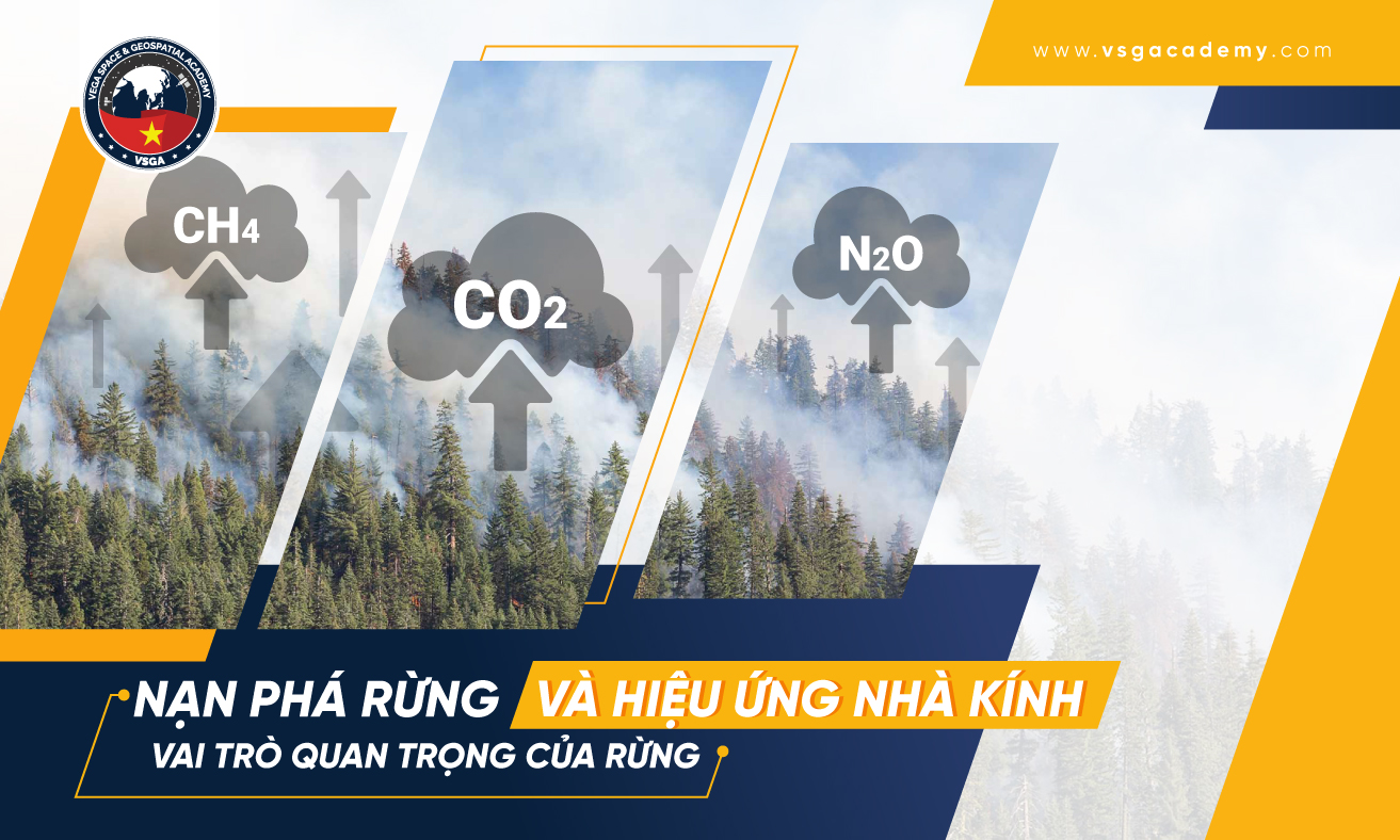 nan pha rung va vai tro của vien tham