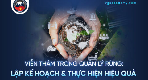 Vien tham trong Quan ly rung