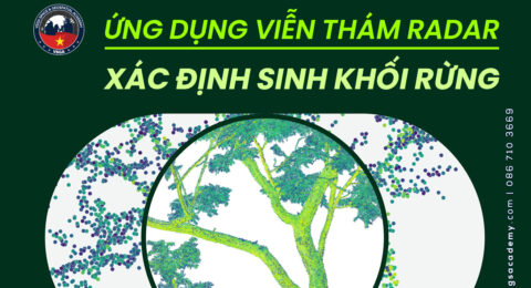 Ung dung vien tham radar xac dinh sinh khoi rung