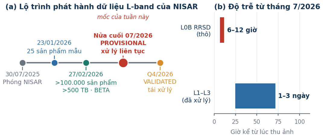 Hinh 1